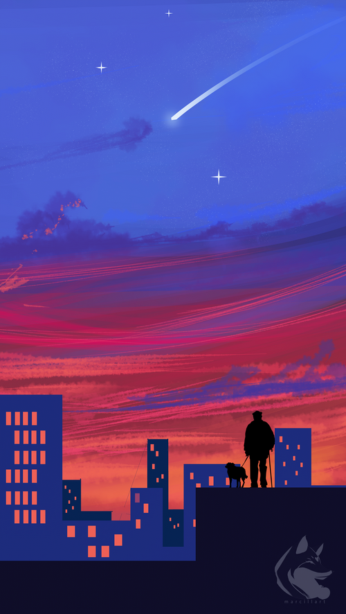 Silhouette of a man and dog on a rooftop at sunset