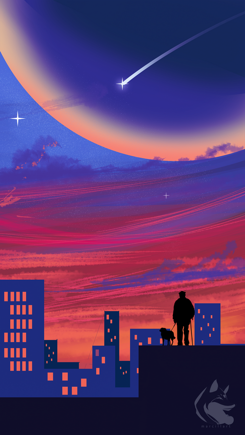Silhouette of a man and dog on a rooftop at sunset