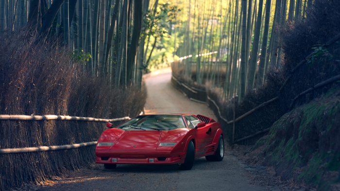 Red Lamborghini Countach in a Japanese Bamboo Forest