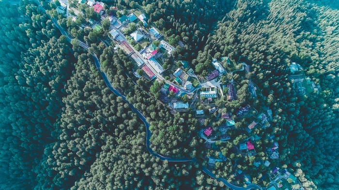 Aerial view of a village nestled in a dense forest.
