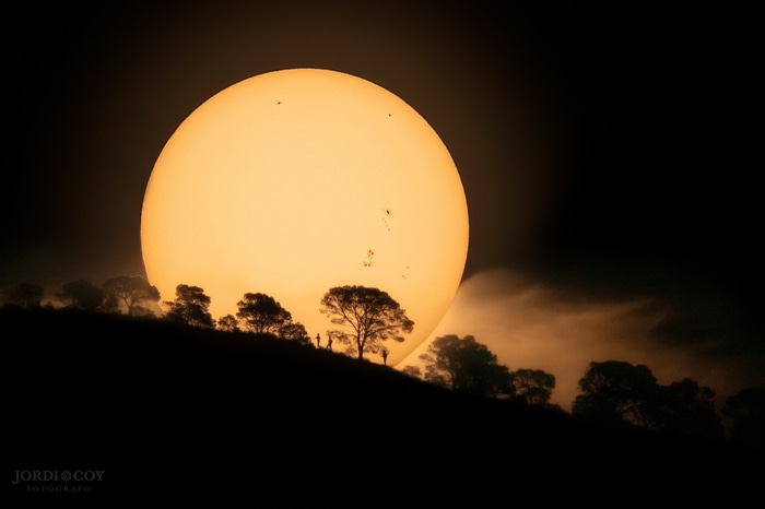 Silhouettes of trees and people against the sun