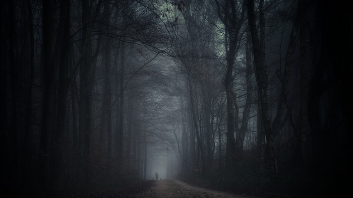 A lone figure walks through a misty forest