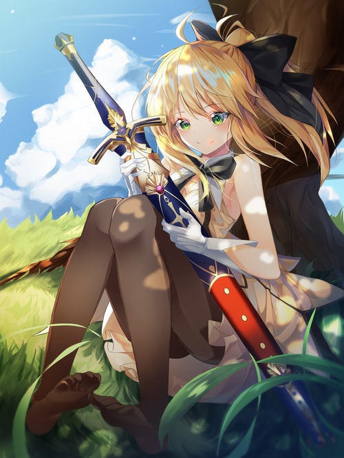 Saber Lily with a sword in a grassy field