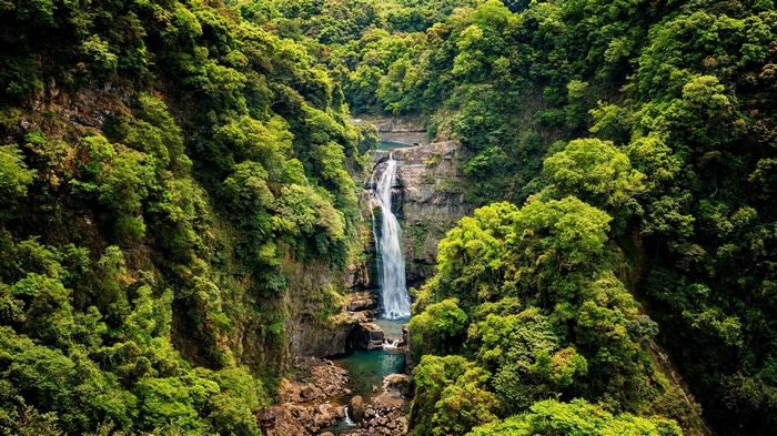 4K Waterfall in a Lush Forest Landscape