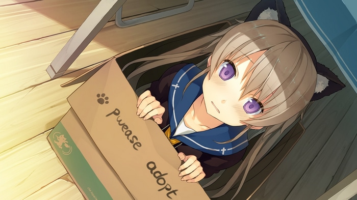 Arisaka Mashiro in a box asking for adoption