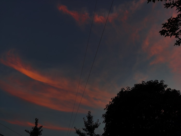 Evening sky with clouds and trees
