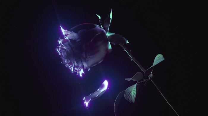 A purple rose with glowing petals