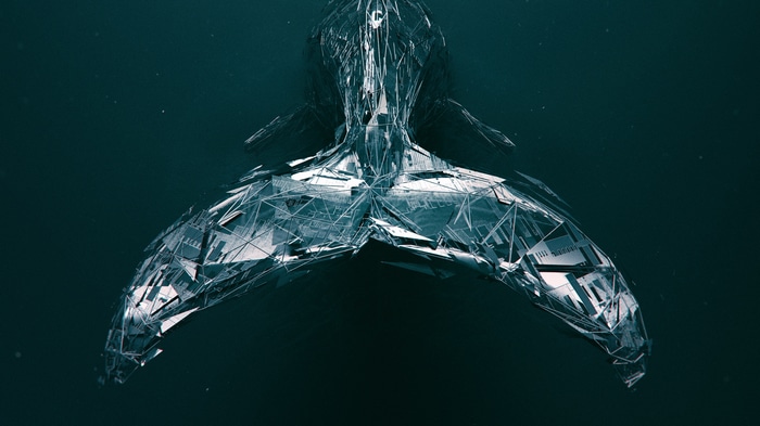 Muzz Whale Album Cover Art