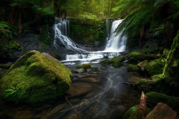4K Waterfall in a Mossy Forest