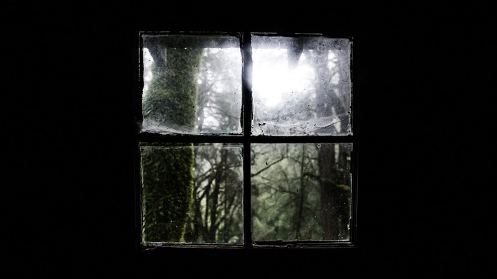 Looking out a dirty window at mossy trees