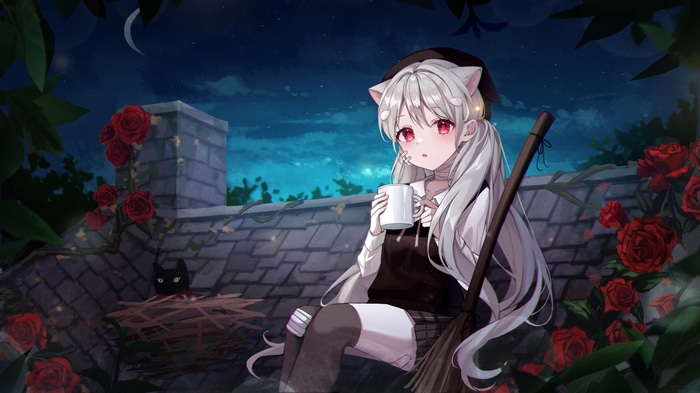Anime girl with cat ears and broom on rooftop