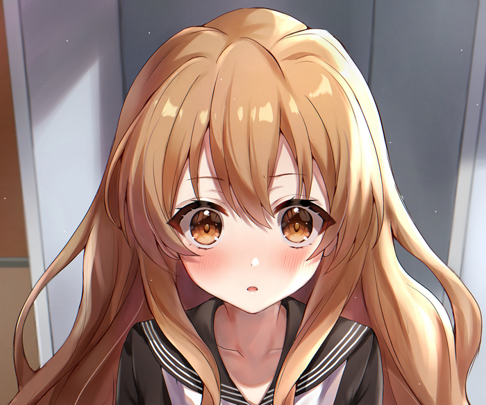 Aisaka Taiga from Toradora! anime