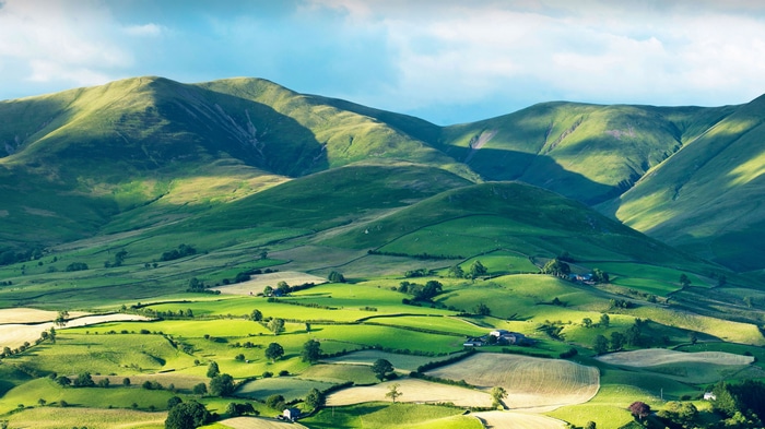 4K Green Hills and Fields Landscape