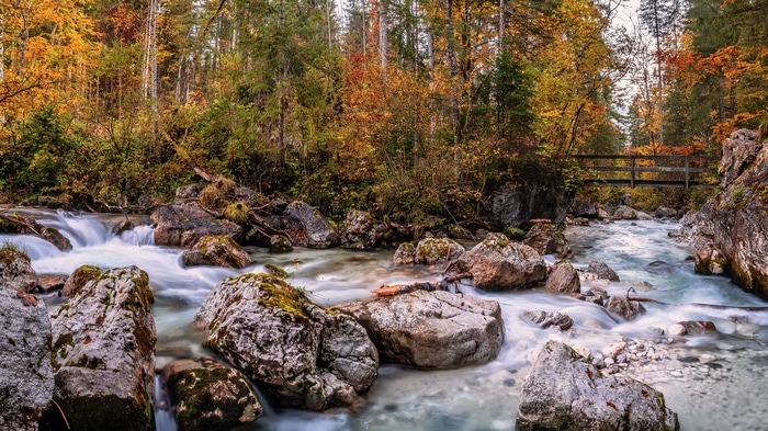 4K river flowing through a forest in fall, Germany