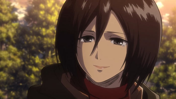 Mikasa Ackerman from Shingeki no Kyojin