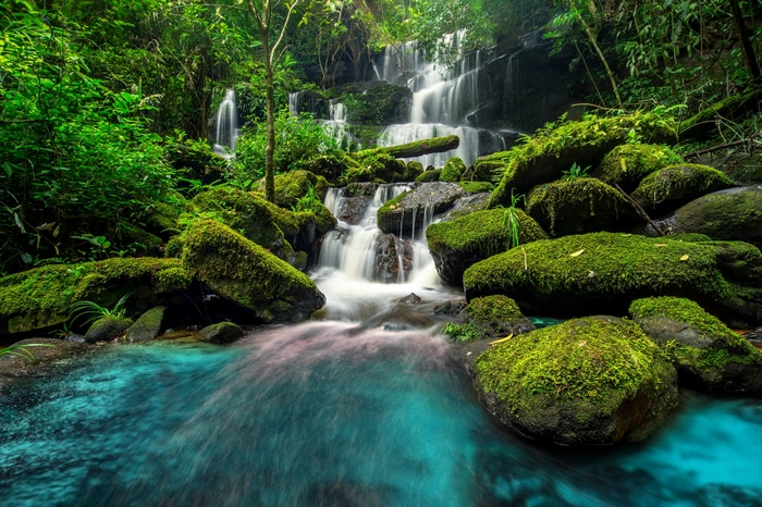 4K jungle waterfall with mossy stones