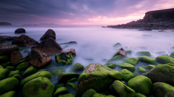 4K Coast with Mossy Stones and Mist