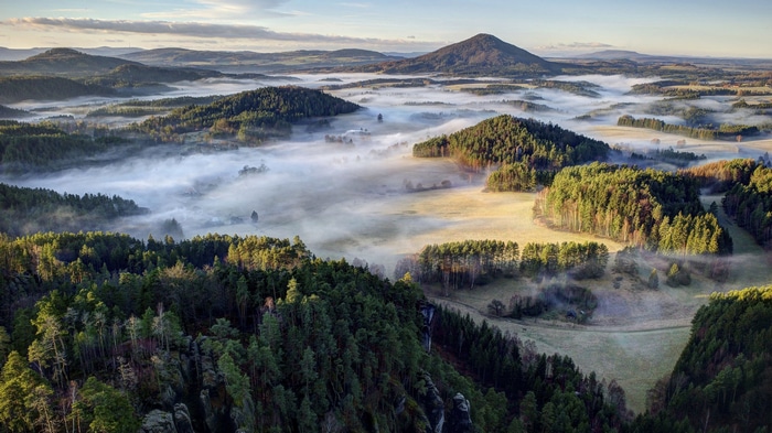Misty forest landscape in the Czech Republic at sunrise