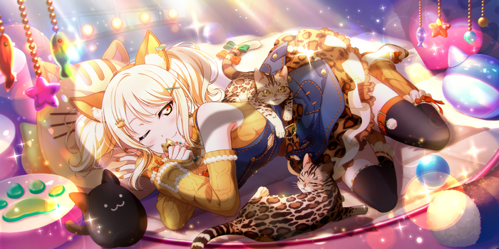 Miyashita Ai with cats in a playful setting