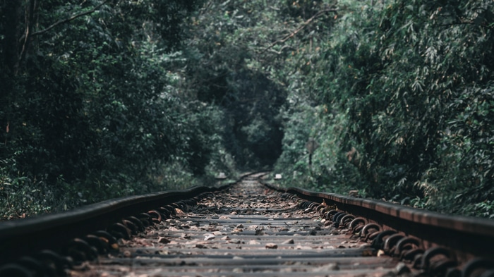 4K railway through a dense forest