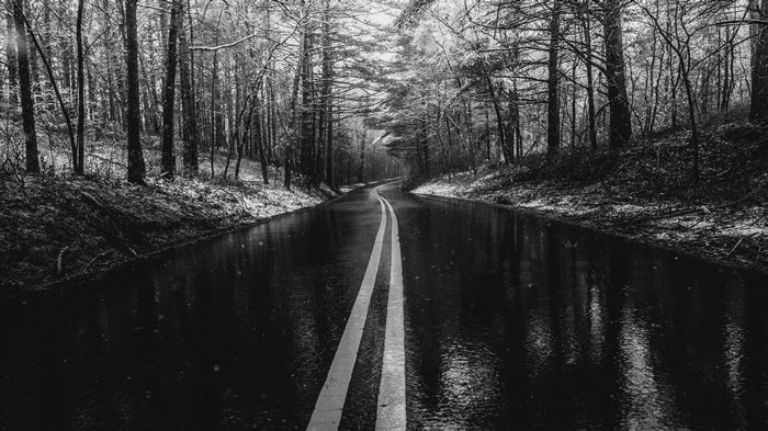 4K wet road through a snowy forest