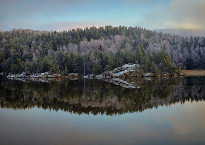 Forest reflected in a calm lake during winter