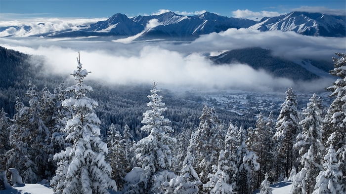 4K Winter Landscape with Snow-Covered Mountains and Forest