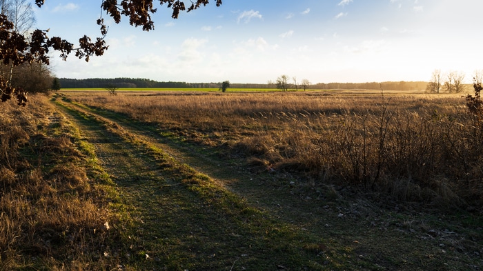 4K nature landscape with road and field at sunset