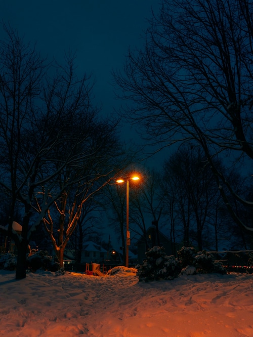 Street light in a snowy winter park at night