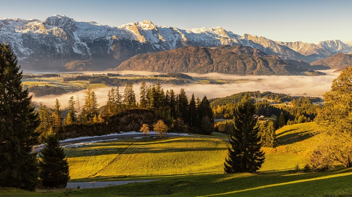 4K Austria Mountains Landscape with Mist and Forest