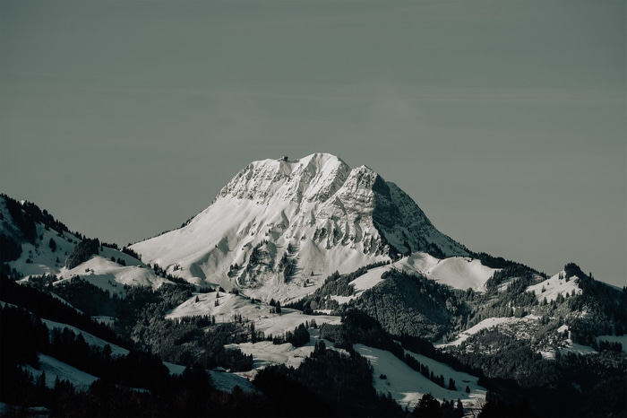 Snow-covered mountains with pine trees under a clear sky