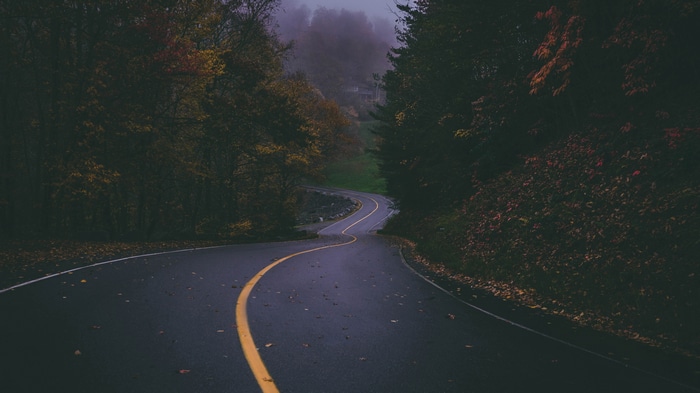 4K road with fallen leaves and trees in fall