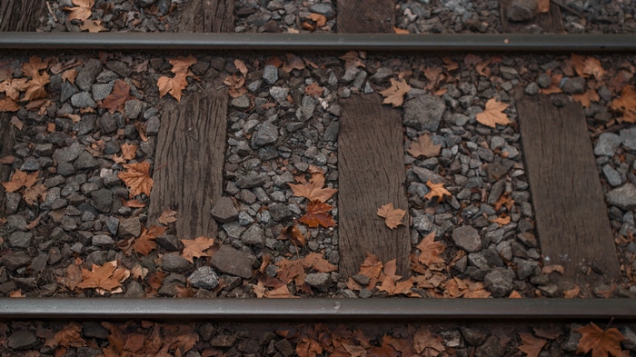 Fallen leaves on railway tracks with wood planks