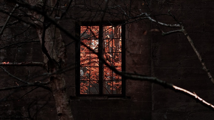 4K Fall Foliage Through Abandoned Window