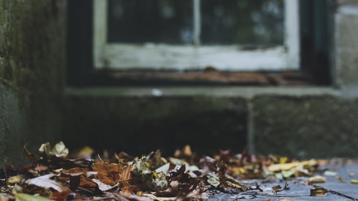 Fallen leaves in front of a window