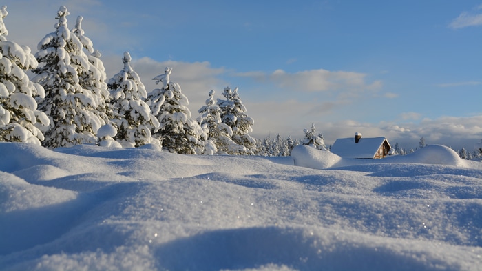 4K snow covered pine trees and log cabin in winter