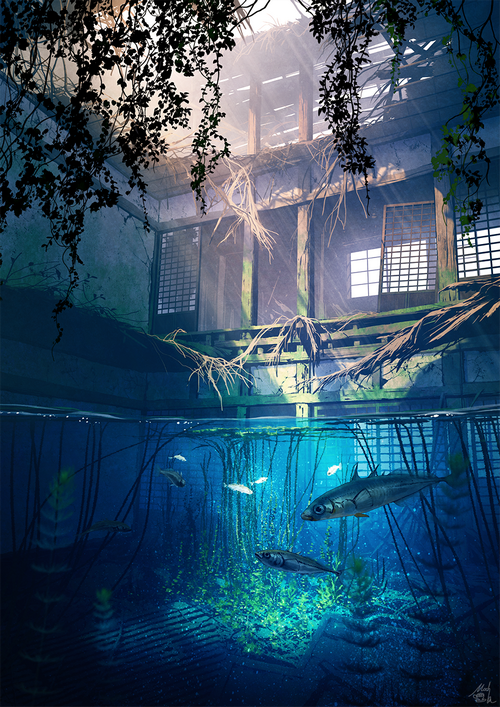 Ruined building with fish swimming in flooded interior