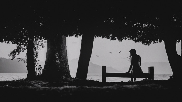 Silhouette of a woman on a bench under trees