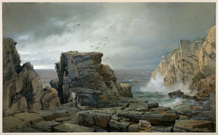 Rocky Coastline with Crashing Waves and Seagulls
