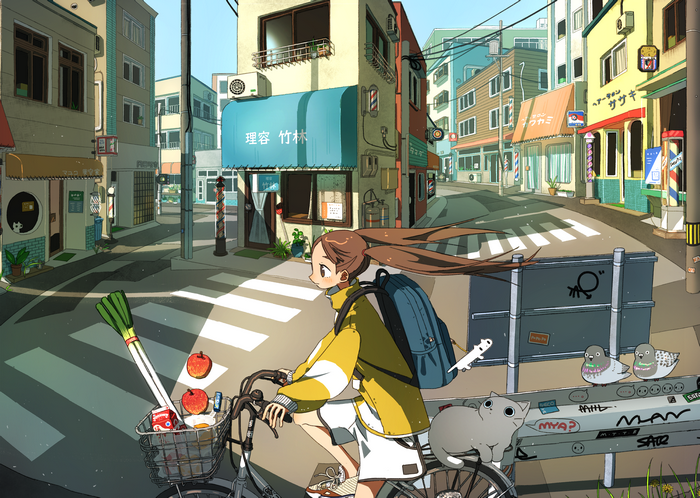 Anime girl riding a bicycle with groceries and a cat