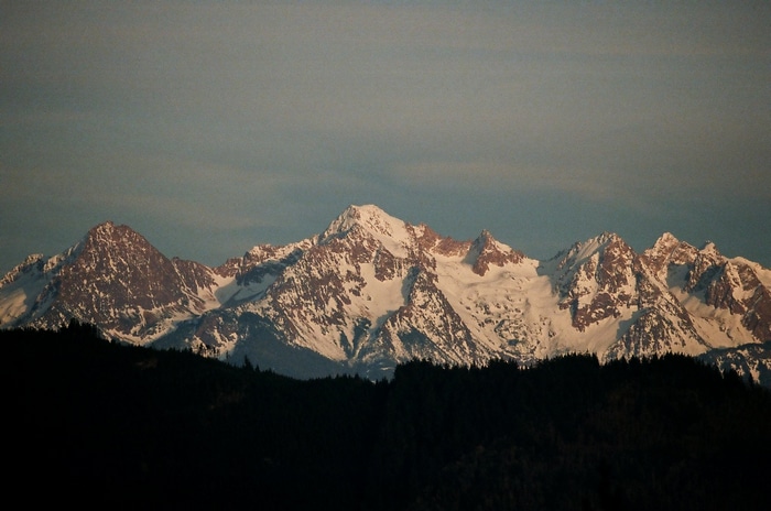 Snowy mountains with a dark forest in the foreground