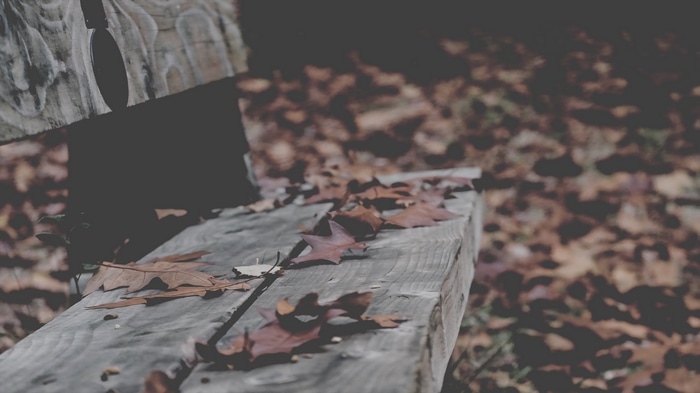 4K fallen leaves on a wooden bench