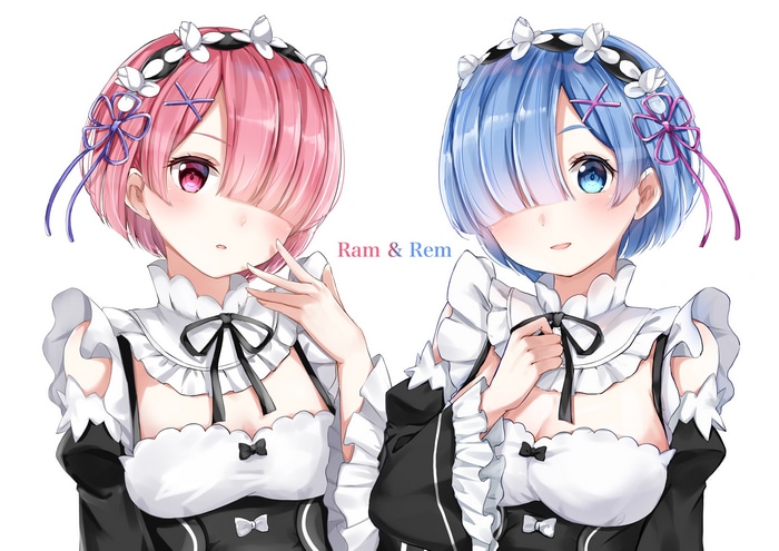 Ram and Rem from Re:Zero Maid Outfits