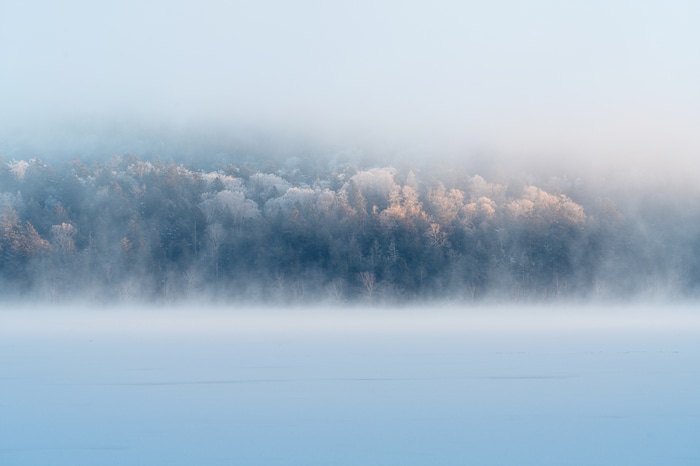 4K Winter Forest with Mist Over Lake