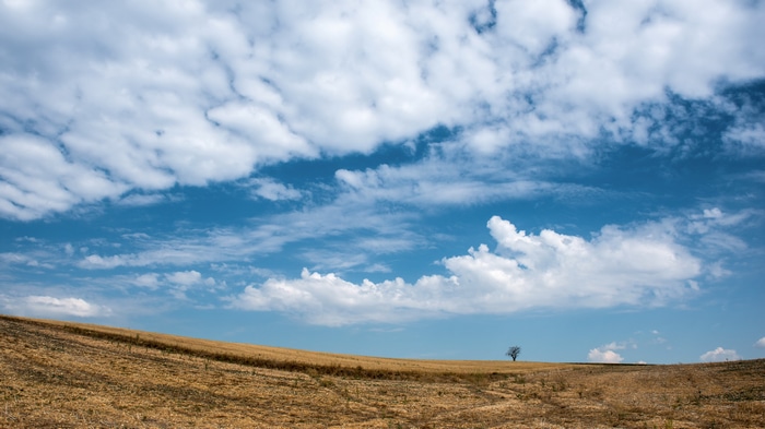 4K field landscape with clouds and sky