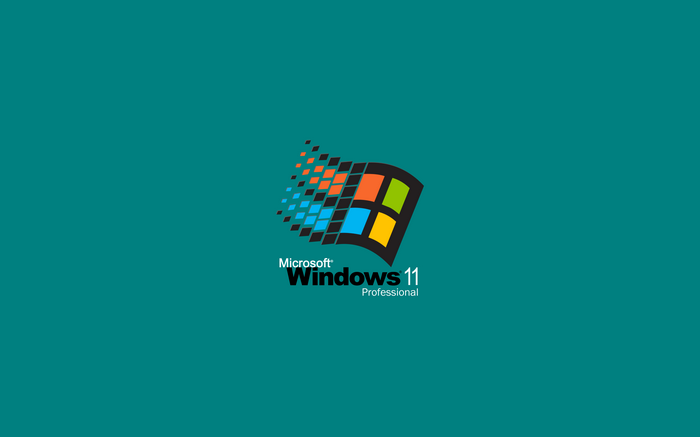 Microsoft Windows 11 Professional Logo