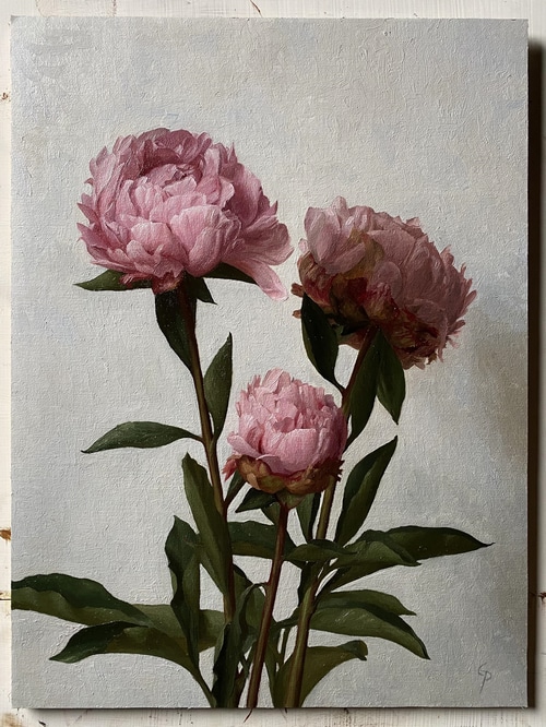 Painting of three pink peonies with green leaves