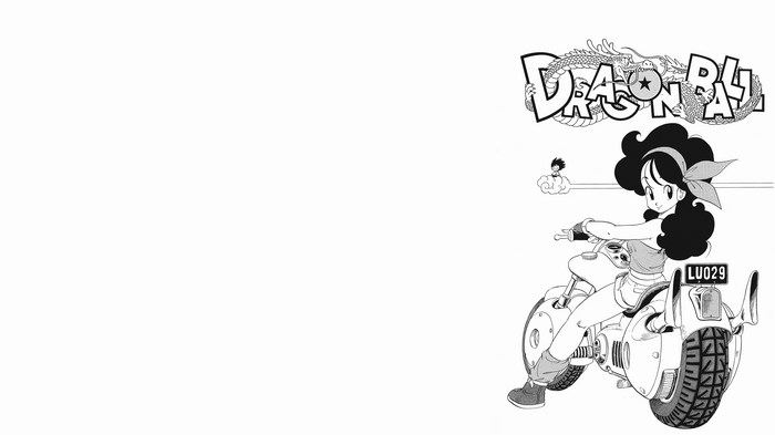 Dragon Ball artwork with Launch on a motorcycle