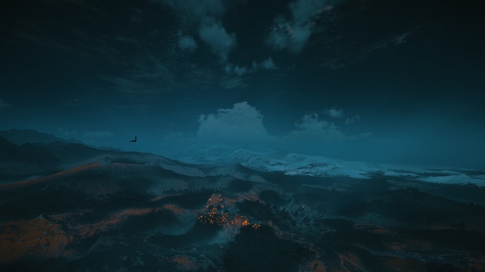 Assassin's Creed Valhalla landscape at night with a raven