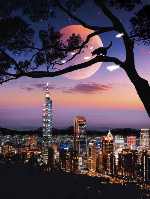 Cat on a tree branch overlooking Taipei cityscape at night